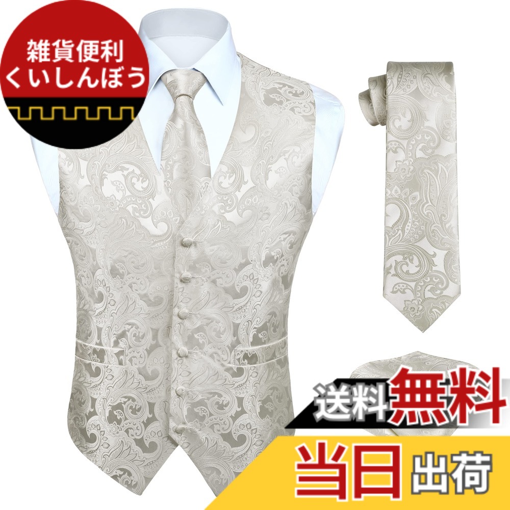 【送料無料】[HISDERN] 結婚式 白 スーツ ベスト メンズ レッド フォーマル ジレ ネクタイ チーフ セット ポケット付き カジュアル 大きいサイズ 礼服 紳士 S V3-01