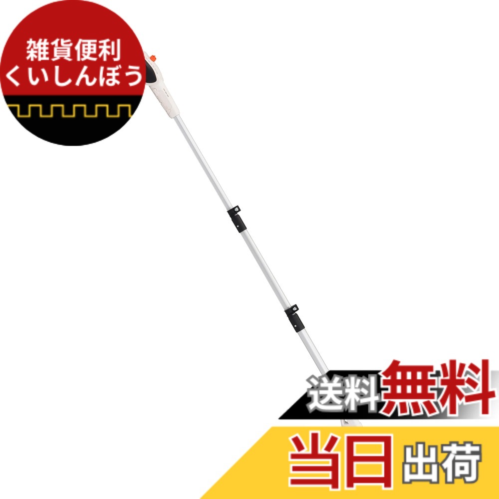 【送料無料】工進(KOSHIN) 18V 2.0Ah 充電式 伸縮 ポールチェンソー SPS-180T スマートシリーズ バッテリー・充電器付 軽量 高枝 高木 庭木 剪定 チェンソー 手軽