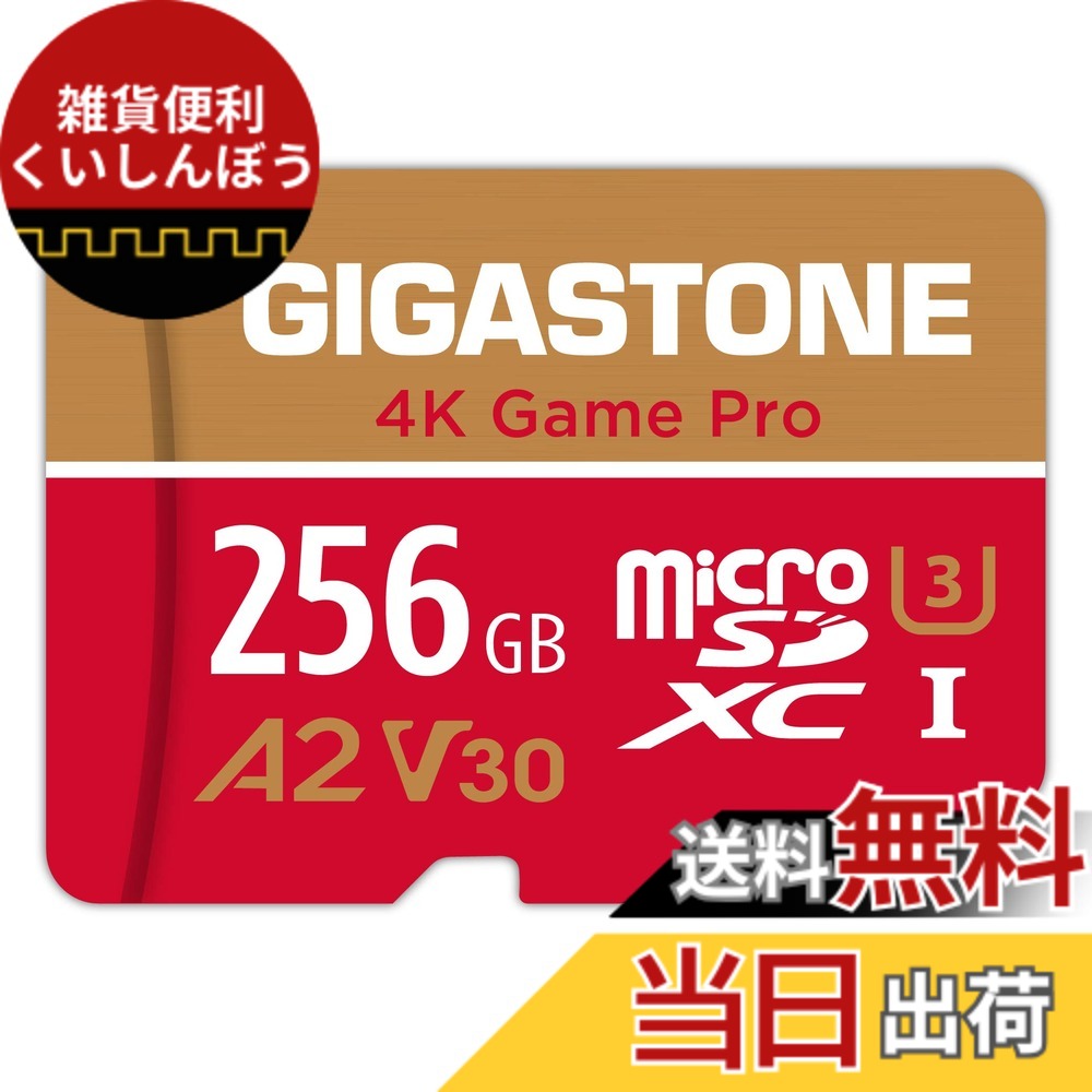 【貨物輸送無料】GIGASTONE マイクロsd歌留多 128-4-1 Core Group 色：256GB Game Pro 1枚仕掛ける、大きさ：4K GAME PRO