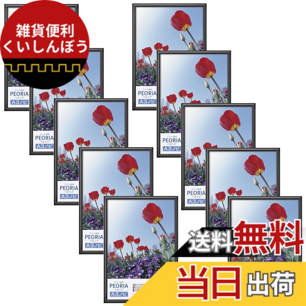 【送料無料】ハクバ 【限定】HAKUBA アルミ額縁 ペオリア 色：ブラック、サイズ：A3ノビ｜雑貨便利くいしんぼう