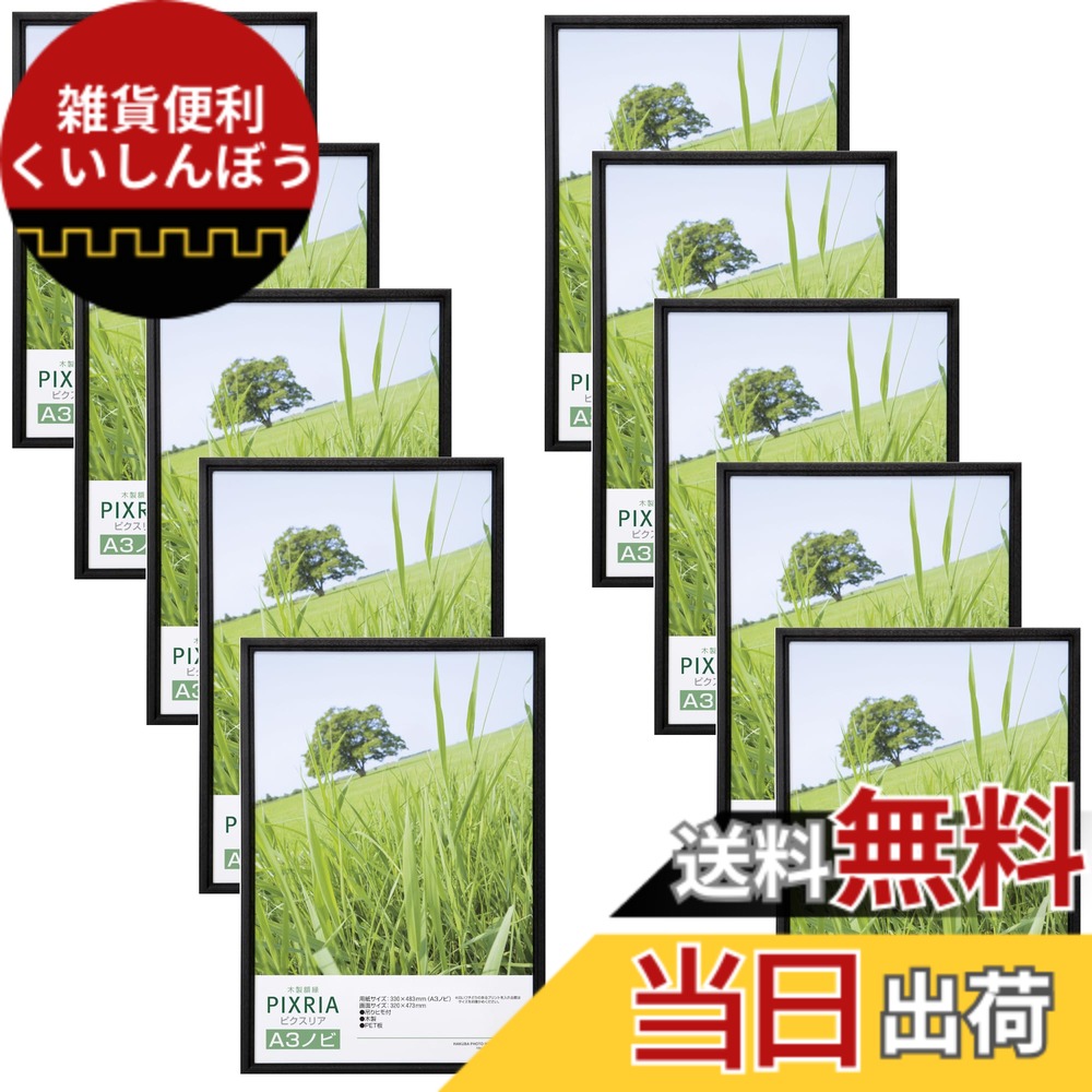 【送料無料】ハクバ 【限定】HAKUBA 木製額縁 ピクスリア ポスターフレーム フォトフレーム 色：ブラック、サイズ：A3ノビ｜雑貨便利くいしんぼう
