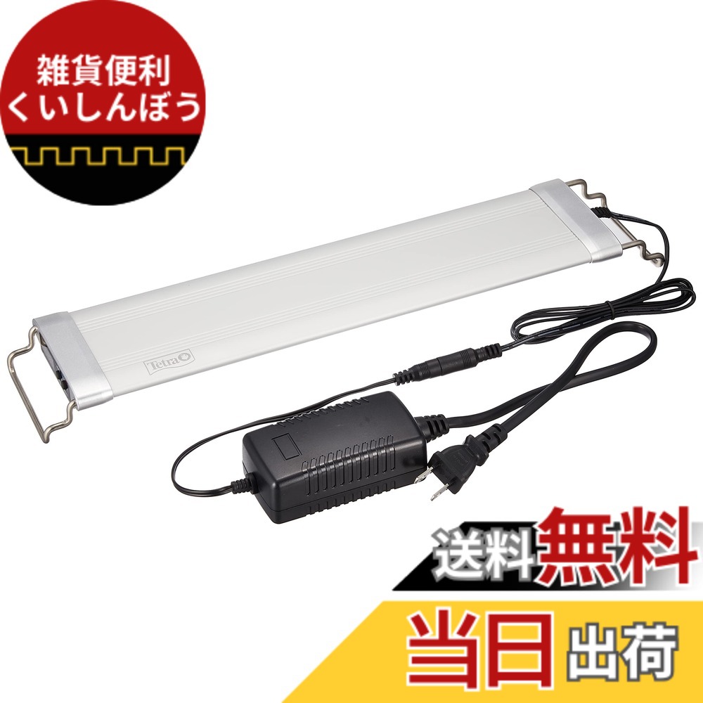 【貨物輸送無料】テトラ (Tetra) 海洋博物館 力強さLED割り増し金 大きさ：M