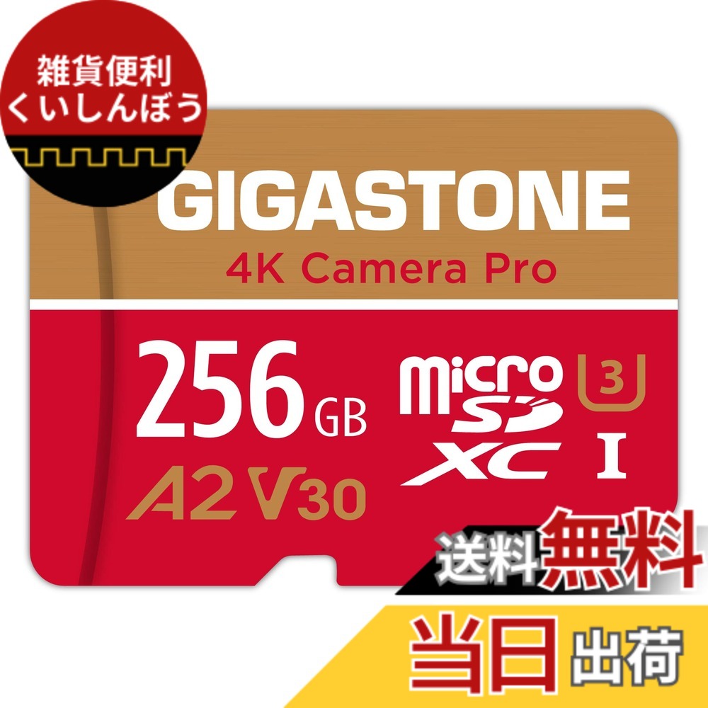 【貨物輸送無料】GIGASTONE マイクロsd歌留多 256-4-1 Core Group 色：256GB Camera Pro 1枚仕掛ける、大きさ：CAMERA PRO