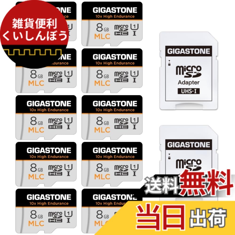 【貨物輸送無料】MSD-High Endurance Group 1 色：8GB High Endurance 10-Pack