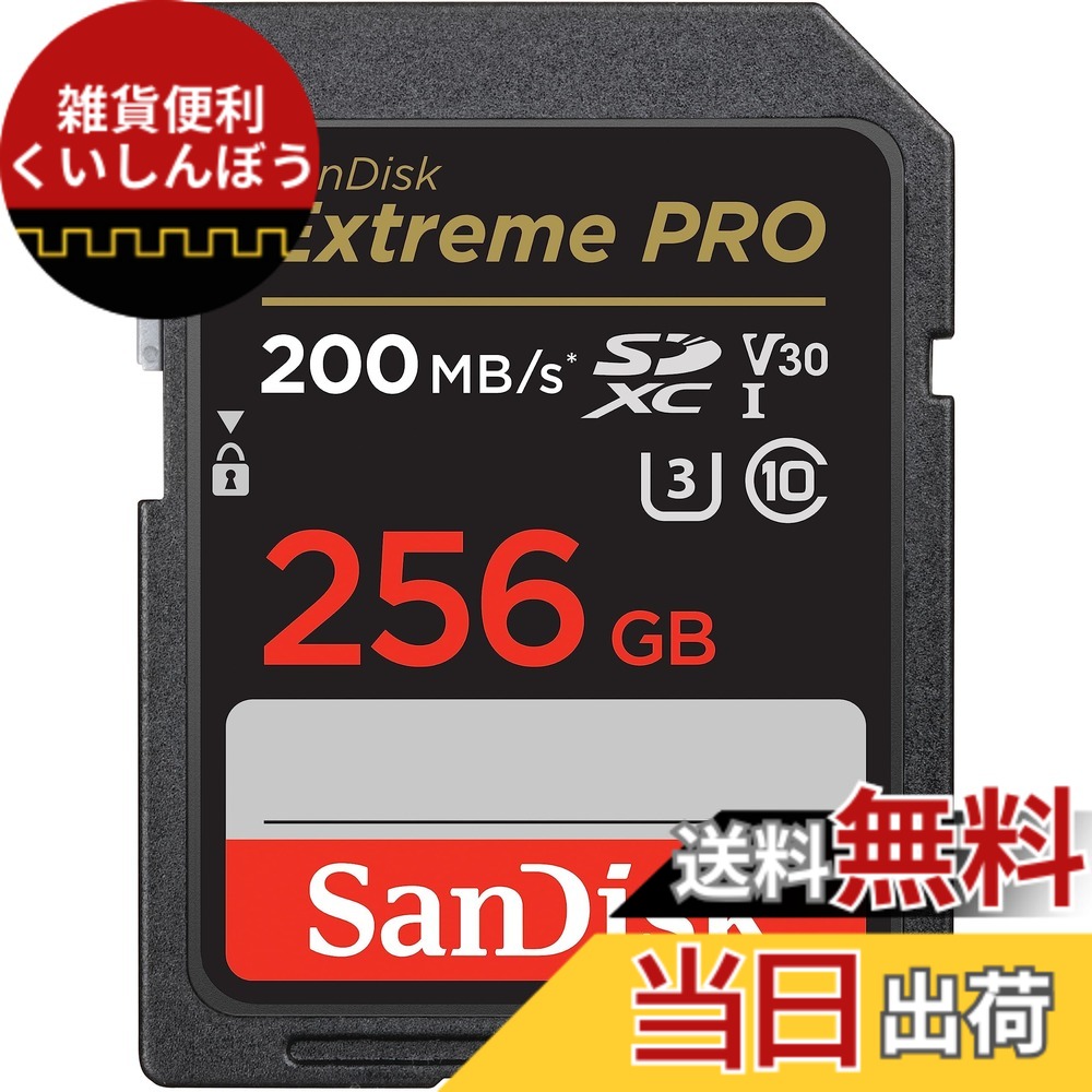 【送料無料】SanDisk 色：ダークグレー/ブラック。、サイズ：256GB｜雑貨便利くいしんぼう