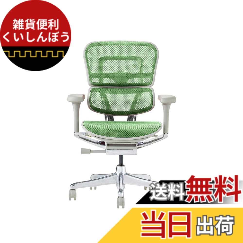 【送料無料】エルゴヒューマン2(Ergohuman2) オフィスチェア 色：フレーム:GRAY / メッシュ:GREEN、サイズ：ロータイプ｜雑貨便利くいしんぼう