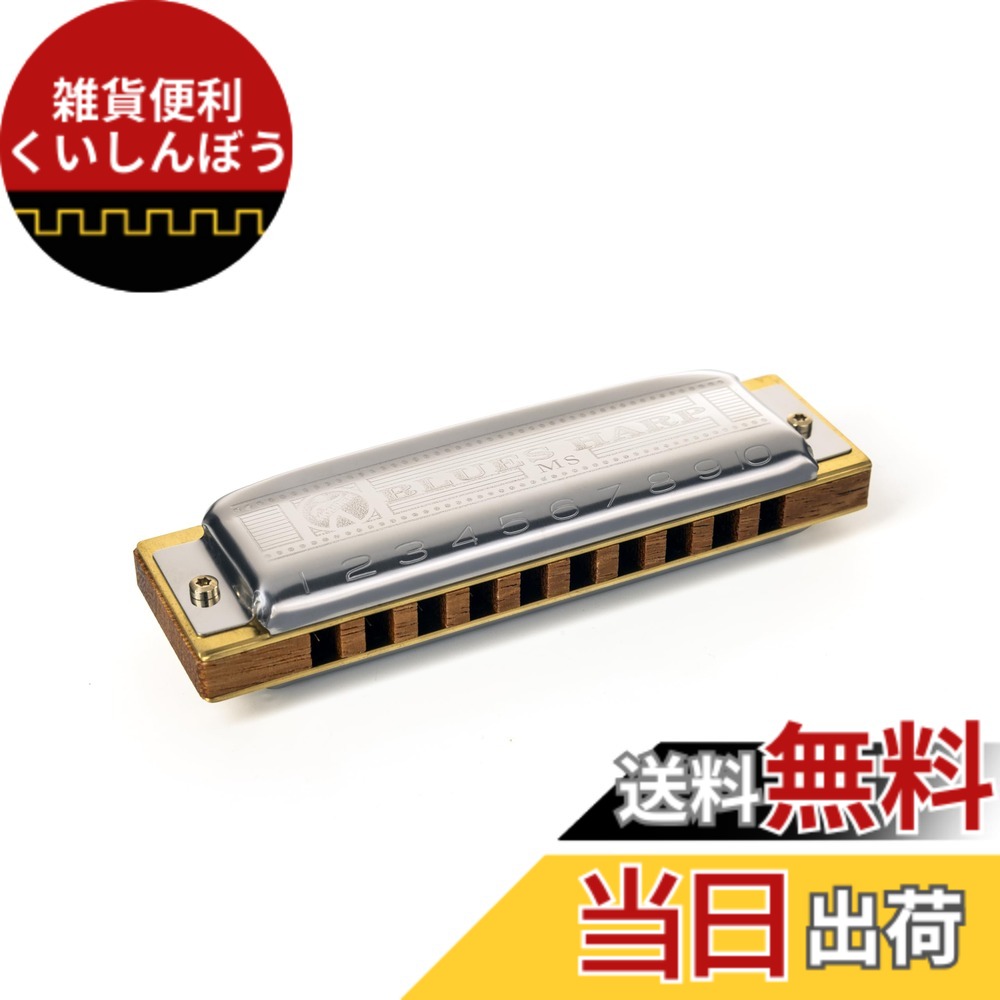 【送料無料】HOHNER ホーナー Blues Harp 532/20P 色：シルバー、サイズ：10｜雑貨便利くいしんぼう