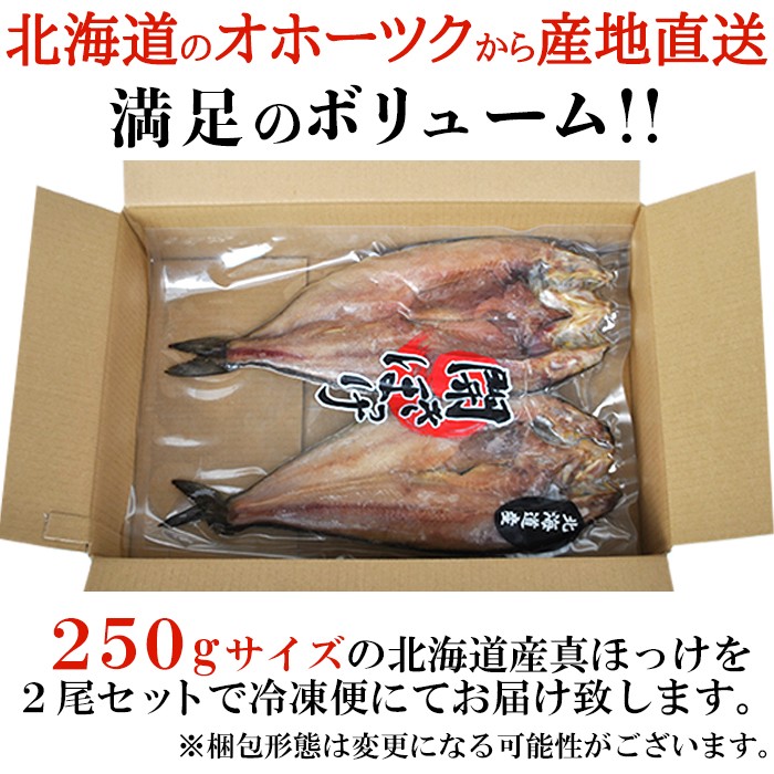 市場 送料無料 北海道産 真ほっけ一夜干し約250g×2尾セット：ZakkaCocker 開きホッケ