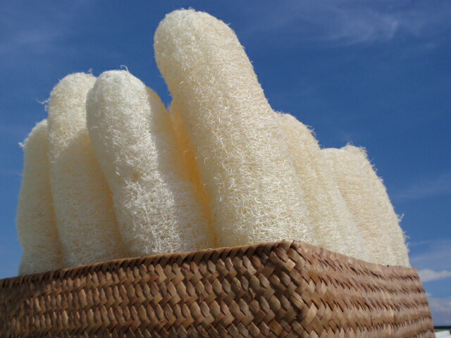 ヘチマたわしボディーケア用品バス用品