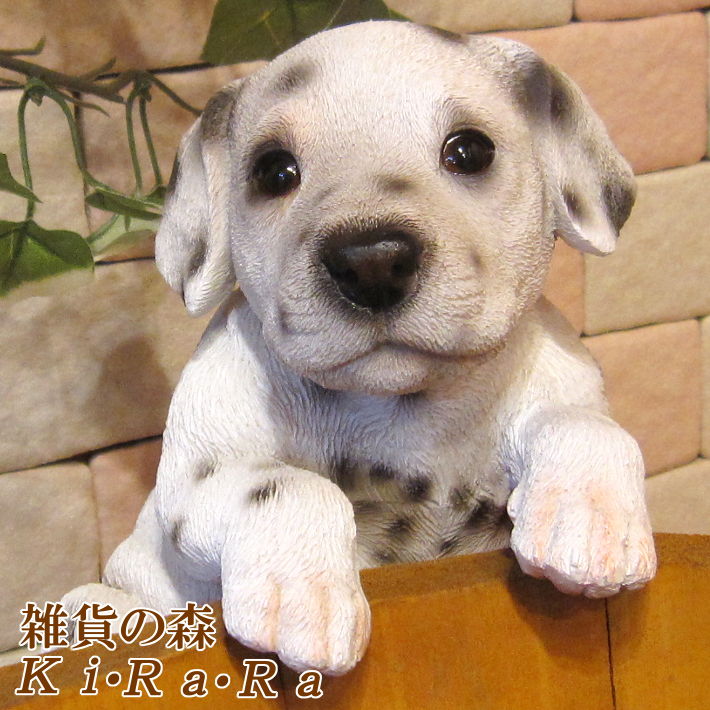 楽天市場】犬の置物 ダルメシアン お座り ワンちゃん いぬ オブジェ