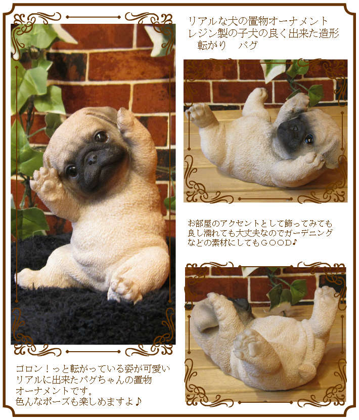 楽天市場 犬の置物 パグ 寝ころび ワンちゃん いぬ オブジェ リアル ドッグ モチーフ 毛並み こだわり オーナメント ガーデニング 愛嬌 カフェ インテリア ベランダアート 雑貨の森 Ki Ra Ra