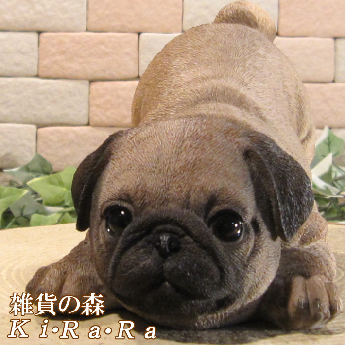 楽天市場】犬の置物 パグ こいぬ お座りタイプ ワンちゃん いぬ 楽天市場】犬の置物 パグ こいぬ お座りタイプ ワンちゃん いぬ