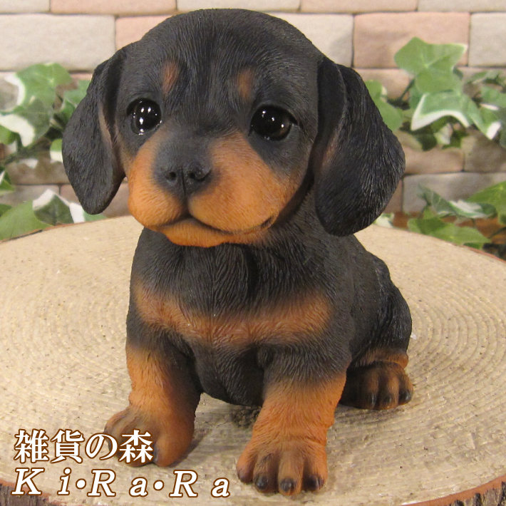 ミニチュアダックスフント 置物 オブジェ 置物 犬 かわいい 動物 玄関 ミニチュアダックスフンド おしゃれ