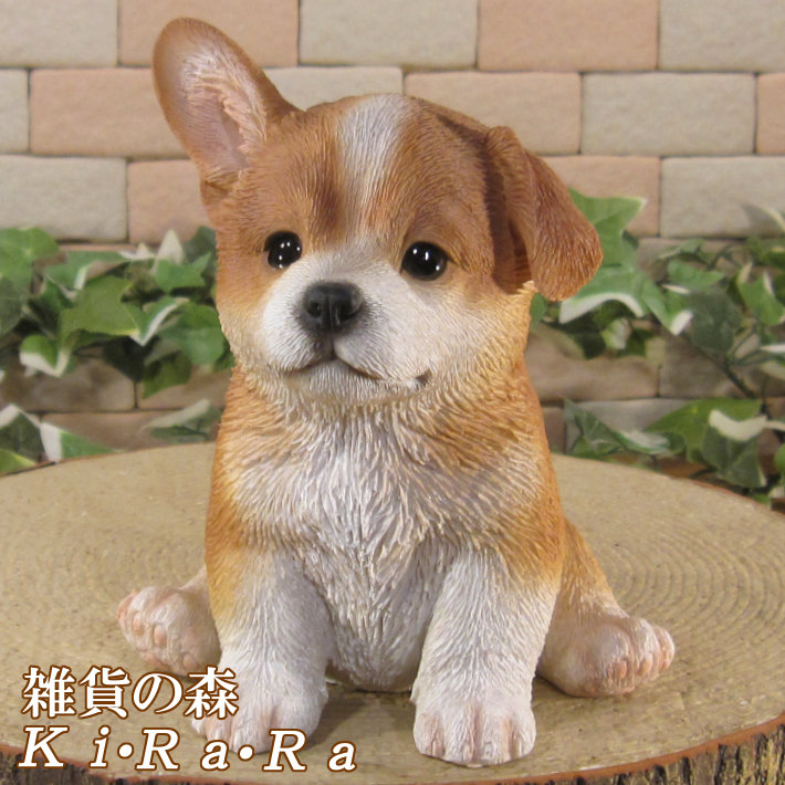 楽天市場】おすわりコーギー犬 Corgi Dog -Sitting 強化