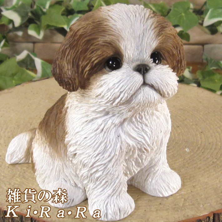 楽天市場】犬 置物 シーズー いぬ イヌ ドッグ 可愛い 犬の小物入れ