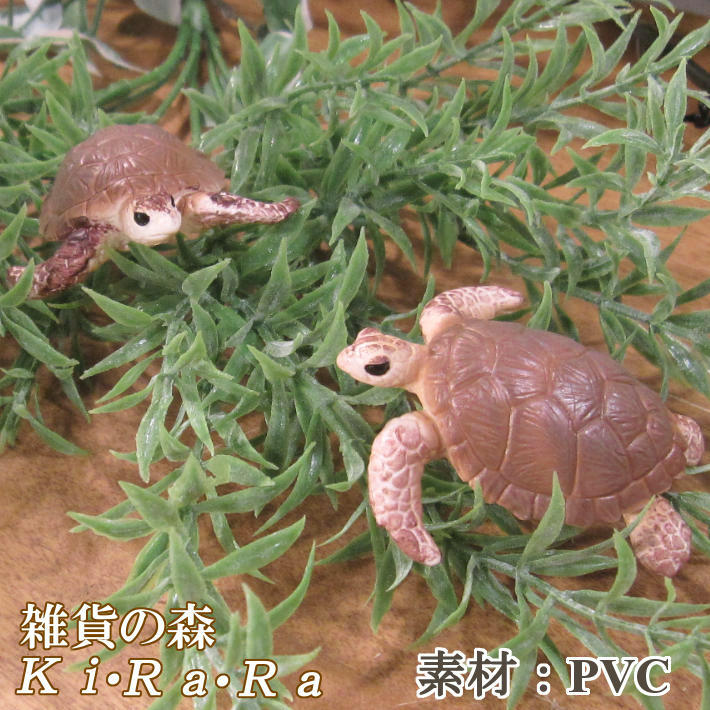 楽天市場】Sea turtle ウミガメの小物入れ 置物 ボックス 飾り