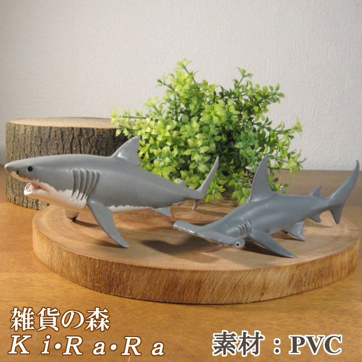 楽天市場】【同梱不可商品】ジンベエザメ さめ 鮫 サメ シャーク
