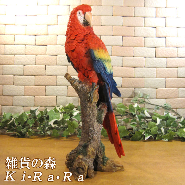 コンゴウインコの壁掛けインテリア 61ClUIHcjNL._UF894,1000_QL80_.jpg