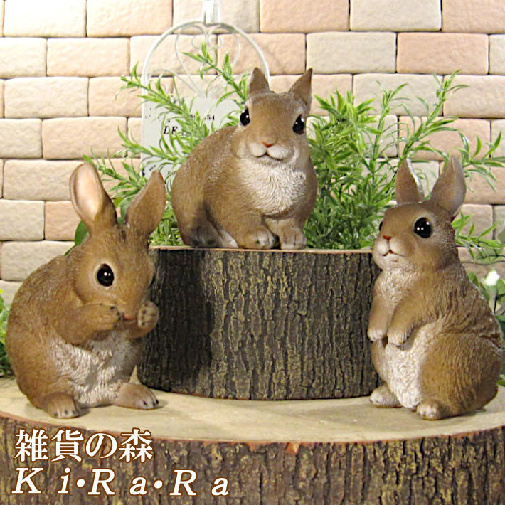 楽天市場】ピーターラビット ウサギの置物 ウエルカムスタンド