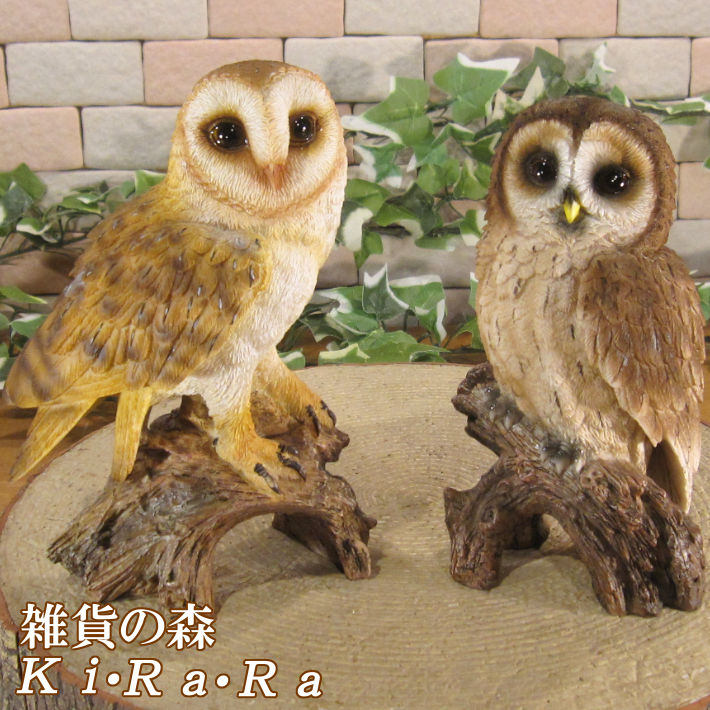 楽天市場】フクロウの置物 リアル ダンディーふくろう Cタイプ