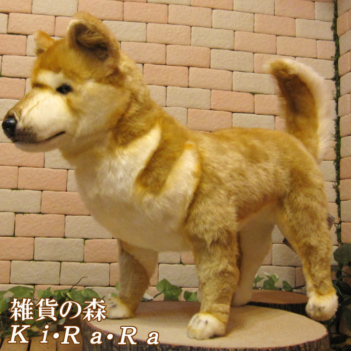 最低価格の 犬の置物 柴犬 ビッグサイズ 大きくてリアルな犬のぬいぐるみ いぬ イヌ ドッグ 動物 アニマル オブジェ 雑貨 フィギュア モチーフ インテリア 玄関 癒し モフモフ もふもふ Za Bestassurance Dz Net