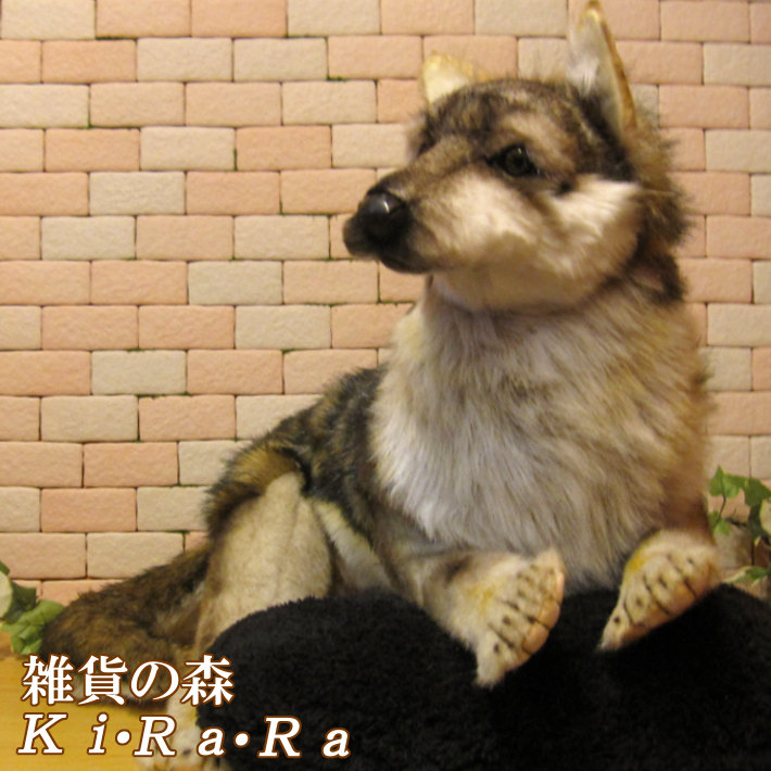 楽天市場 狼 置物 オオカミ ビッグサイズ 大きくてリアルな動物のぬいぐるみ アニマル オブジェ 雑貨 フィギュア モチーフ インテリア 玄関 癒し モフモフ もふもふ 雑貨の森 Ki Ra Ra