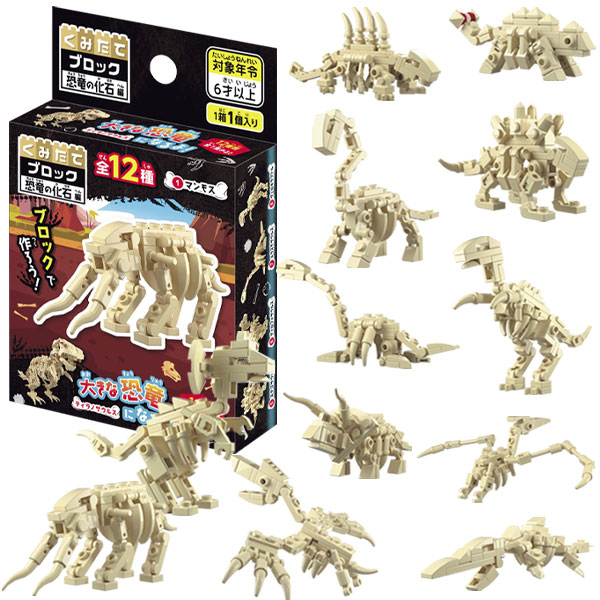 楽天市場】【12個セット】くみたてブロック・恐竜の化石編 知育