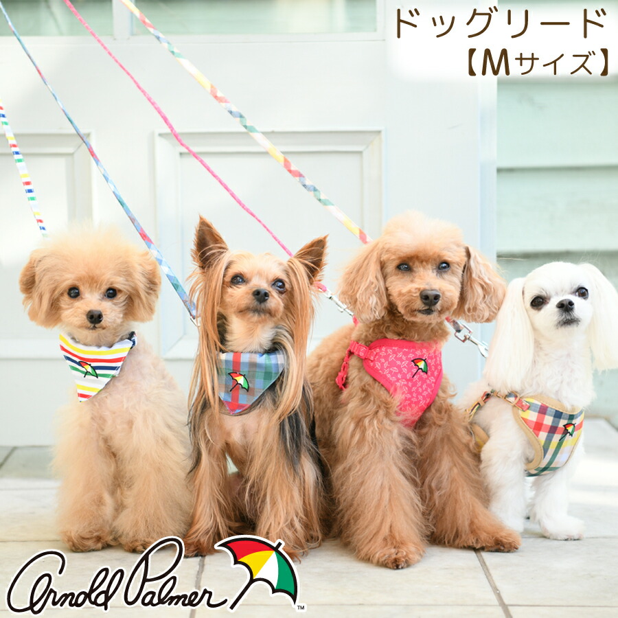 楽天市場 Arnold Palmer リード Mサイズ 犬用 ブランドリード ブランド犬具 手綱 散歩ひも 雑貨ネットオンライン 楽天市場店