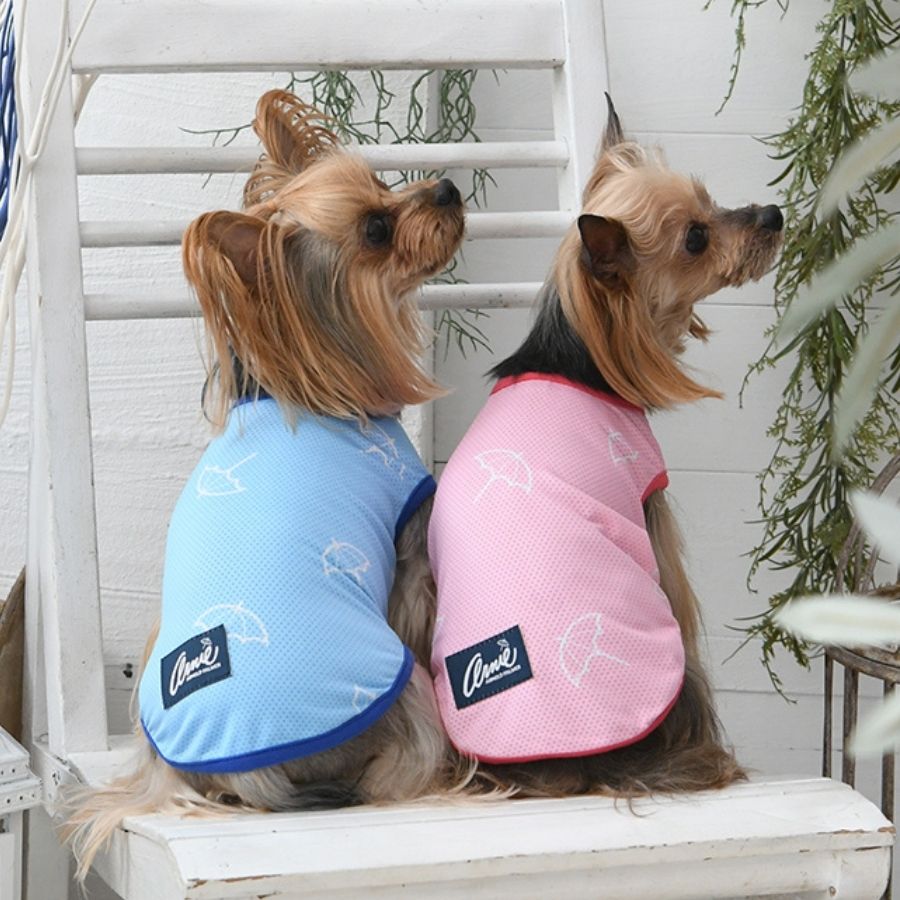 ARNOLD PALMER エンドレスアンブレラメッシュタンクトップ トップス メッシュ生地 クール 虫除け 犬服 dog カルル  calulu 22s SALE 雑貨ネットオンライン 