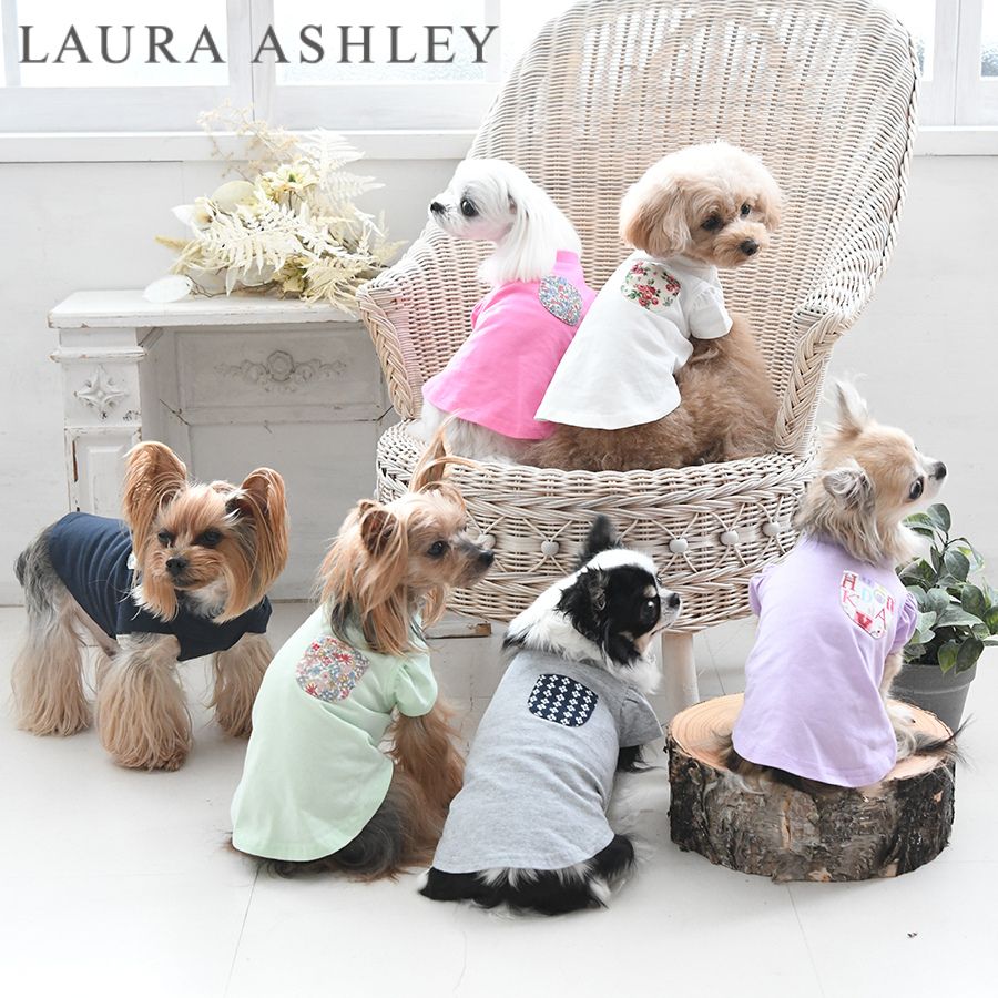 楽天市場】LAURA ASHLEY ローラアシュレイ ドッグシャツ 犬服 ルーム
