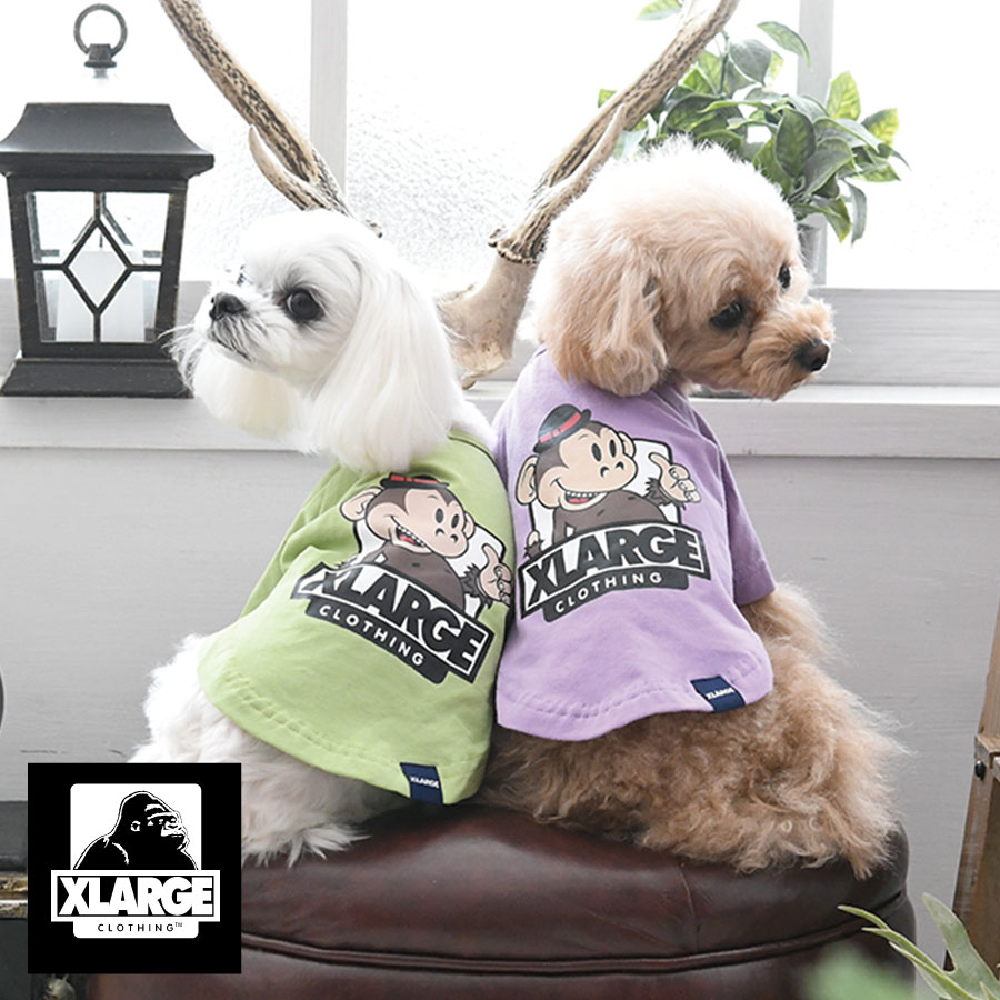 楽天市場】XLARGE キースT | 23s Tシャツ 犬服 エクストララージ