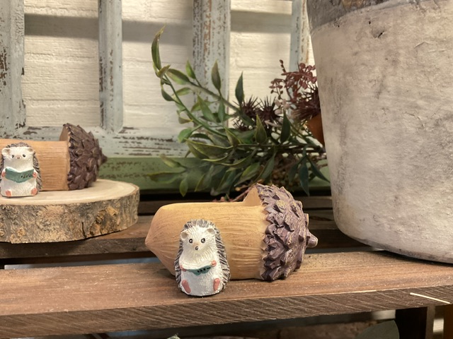 楽天市場】【ミニポット】エリッソンドゥコテS ポットガーデン