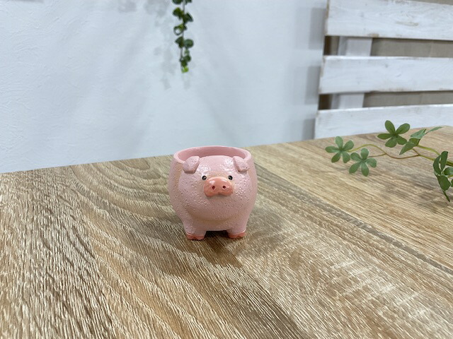 ミニブタ（ポットベリー・ピッグ ）頭骨 ♂ ★ NO.5 楽天市場】【ミニポット】リトルレジンポット 四つ足アニマル みけねこ