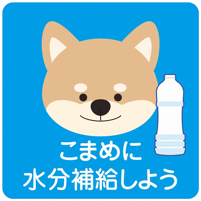 市場 熱中症対策 シール いぬ 施設 ブルー ステッカー 案内 こまめに水分補給 ピクトサイン 140x140mm