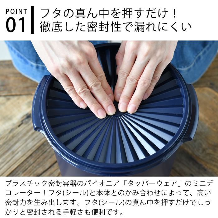 4月5日はP最大10倍祭！】保存容器 密閉 タッパーウェア マキシ