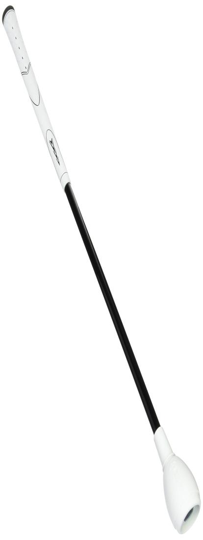 楽天市場】ダイヤゴルフ(DAIYA GOLF) ゴルフ練習器 スイング525