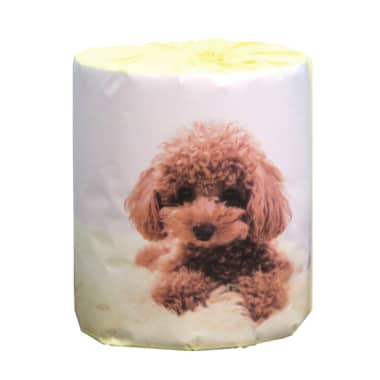 日本限定モデル メーカー直送品 動物 かわいい ワンちゃん 代金引換できません 犬 トイプードル トイレットペーパー 100個入 ばらまき 販促用 イベント 景品 パーティー 町内会 老人会 子供会 ディスプレイ Enlc16z2nimm Quintalafrancisca Com