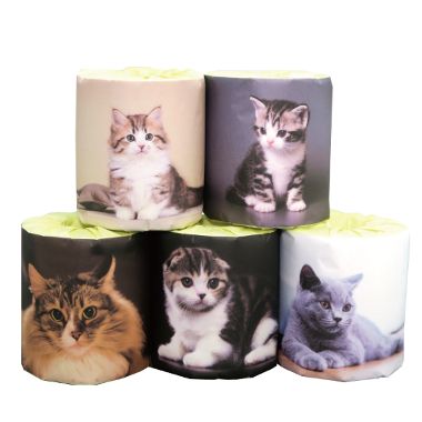 猫 5種 アソートトイレットペーパー 100個 ばらまき 販促用 出来事 割り増し金 寄り合い 町内会 高齢者会 ちびっ子会 見せびらかす ねこお父ちゃん 愛くるしい 【通貨価値取り替えっこできません】【製造会社直送品】
