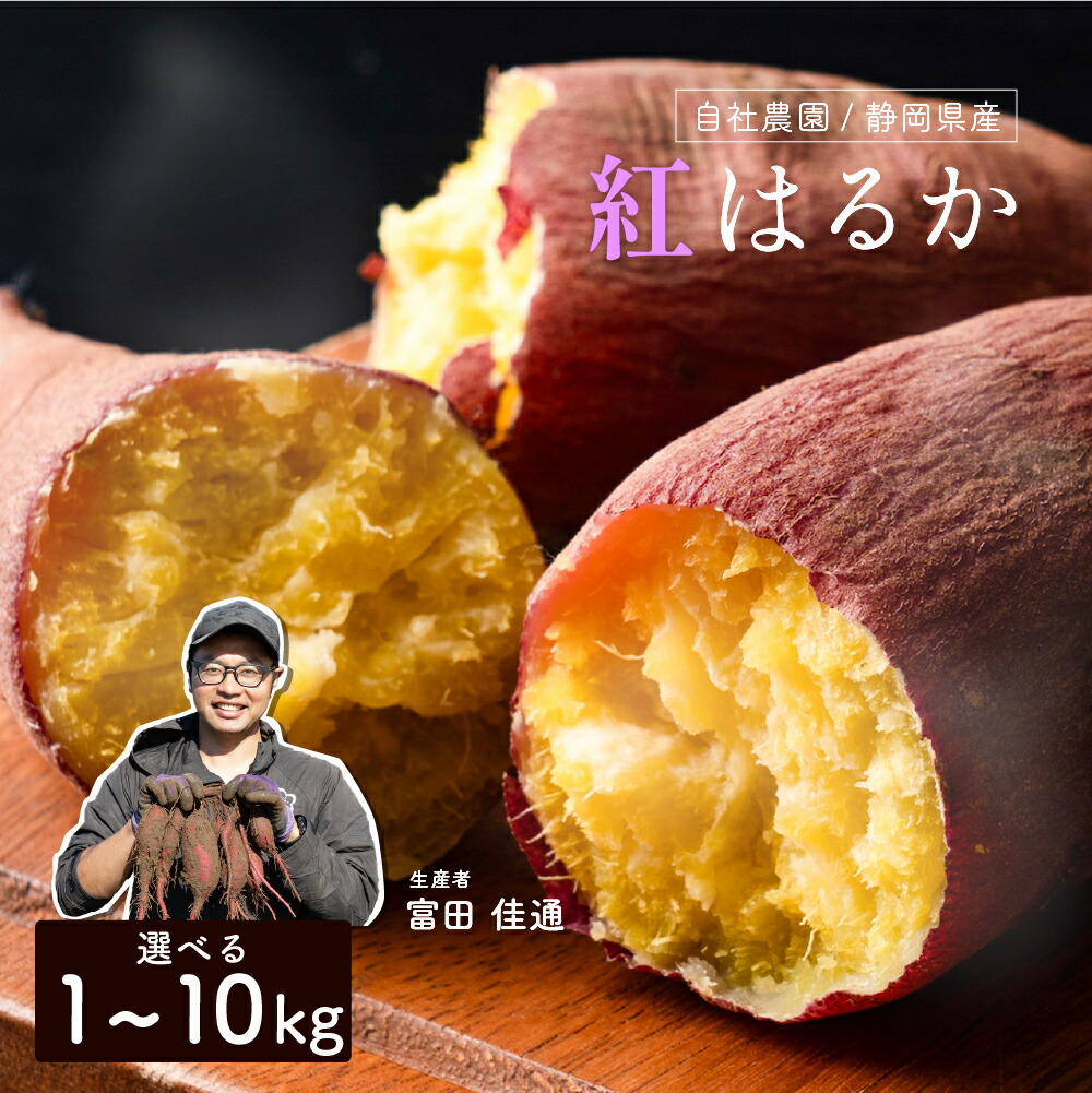 さつまイモ様 ふくむらさき | 農研機構