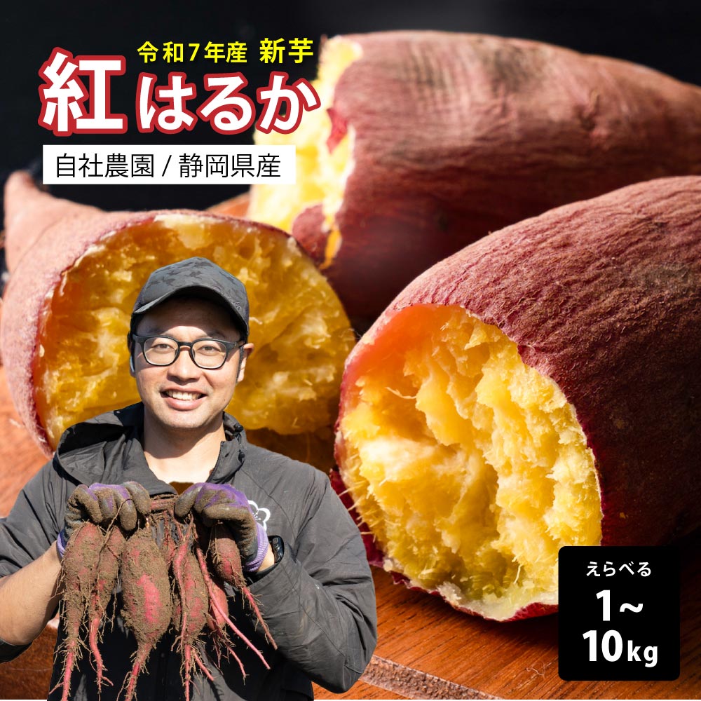 静岡県産 さつまいも 紅はるか 【内容量が選べる1kg~10kg】雑穀米本舗 送料無料 スイーツ 生芋 生 サツマイモ べにはるか 甘い 美味しい 産地直送 ギフト