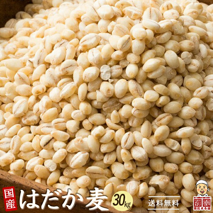 雑穀 雑穀米 国産 はだか麦 30kg(500g×60袋) 徳用サイズ 無添加 無着色 送料無料
