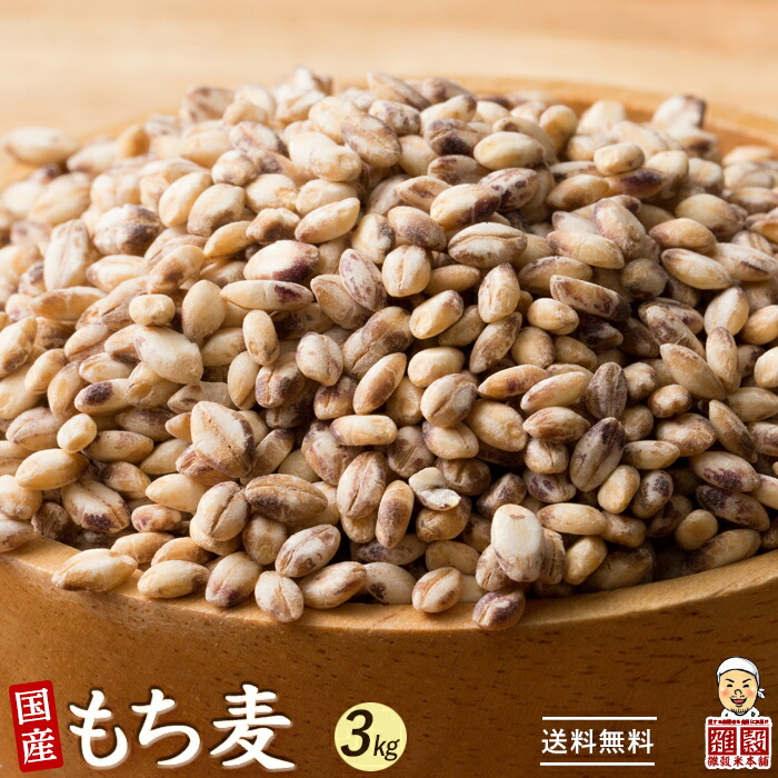 誠実 雑穀 雑穀米 国産 もち麦 3kg 500g 6袋 ファミリーサイズ 無添加 無着色 送料無料 ダイシモチムギ ダイエット食品 置き換えダイエット Whitesforracialequity Org