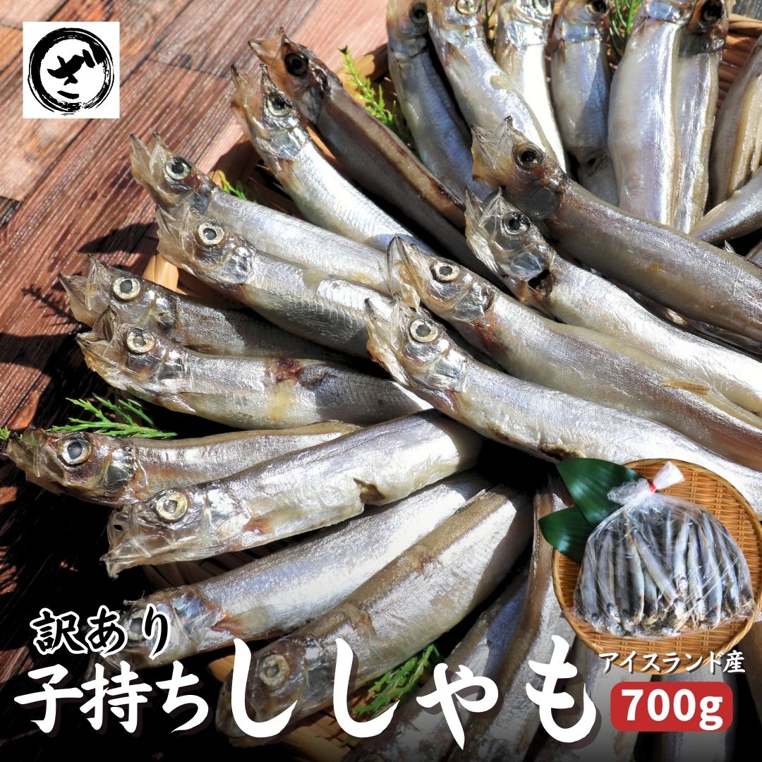 楽天市場】刺身くらげ 500gくらげ クラゲ お刺身くらげ 中華