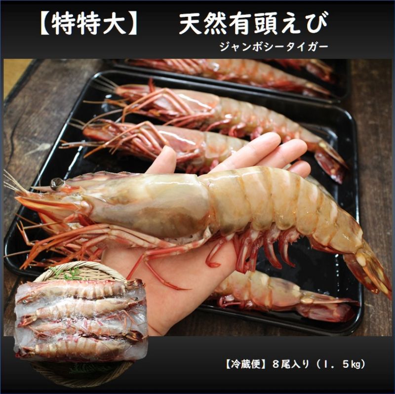 天然有頭エビ 8尾 1.5kg えび 海老 スーパービッグ 大きなエビ スーパージャンボ シータイガー 希少 レア