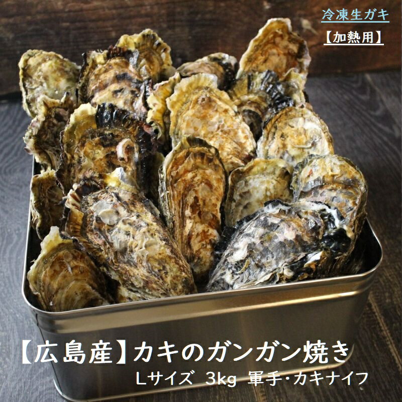 広島県産　カキのガンガン焼きセット 　【冷凍便】　Lサイズ　３kg　約25個入り　殻付き生牡蠣　かき　　カンカン　缶　BBQセット　バーベキュー　キャンプ　飯