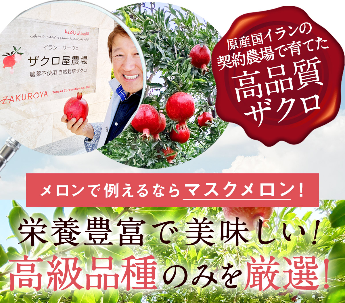 【新品・未開封】ザクロのしずく500ml×3本 ザクロジュース 100% 無添加 ザクロのしずく500ml 3本 濃縮