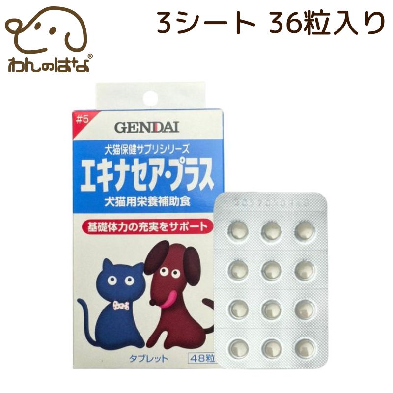 CBDカゼインタブ 犬猫　サプリ　100錠　タブレット　２箱セット　送料無料 楽天市場】リケンベッツファーマ 共立製薬 CBD カゼインタブ 犬