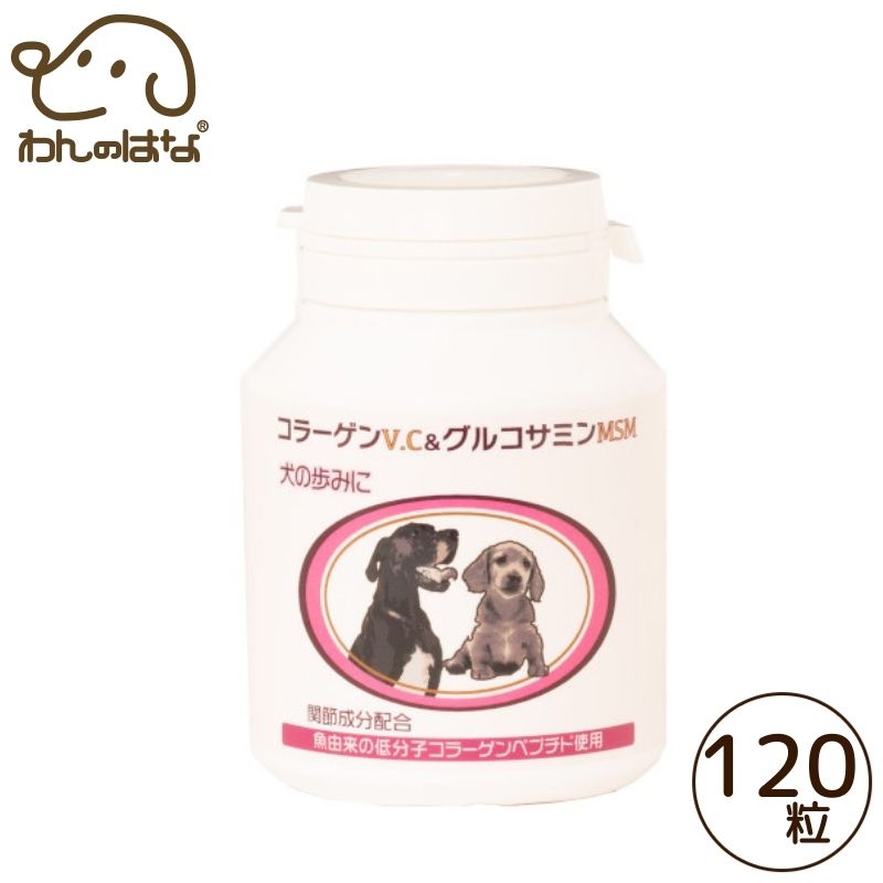 日本ビーエフ 犬の歩みにコラーゲンV.C＆グルコサミンMSM 120粒