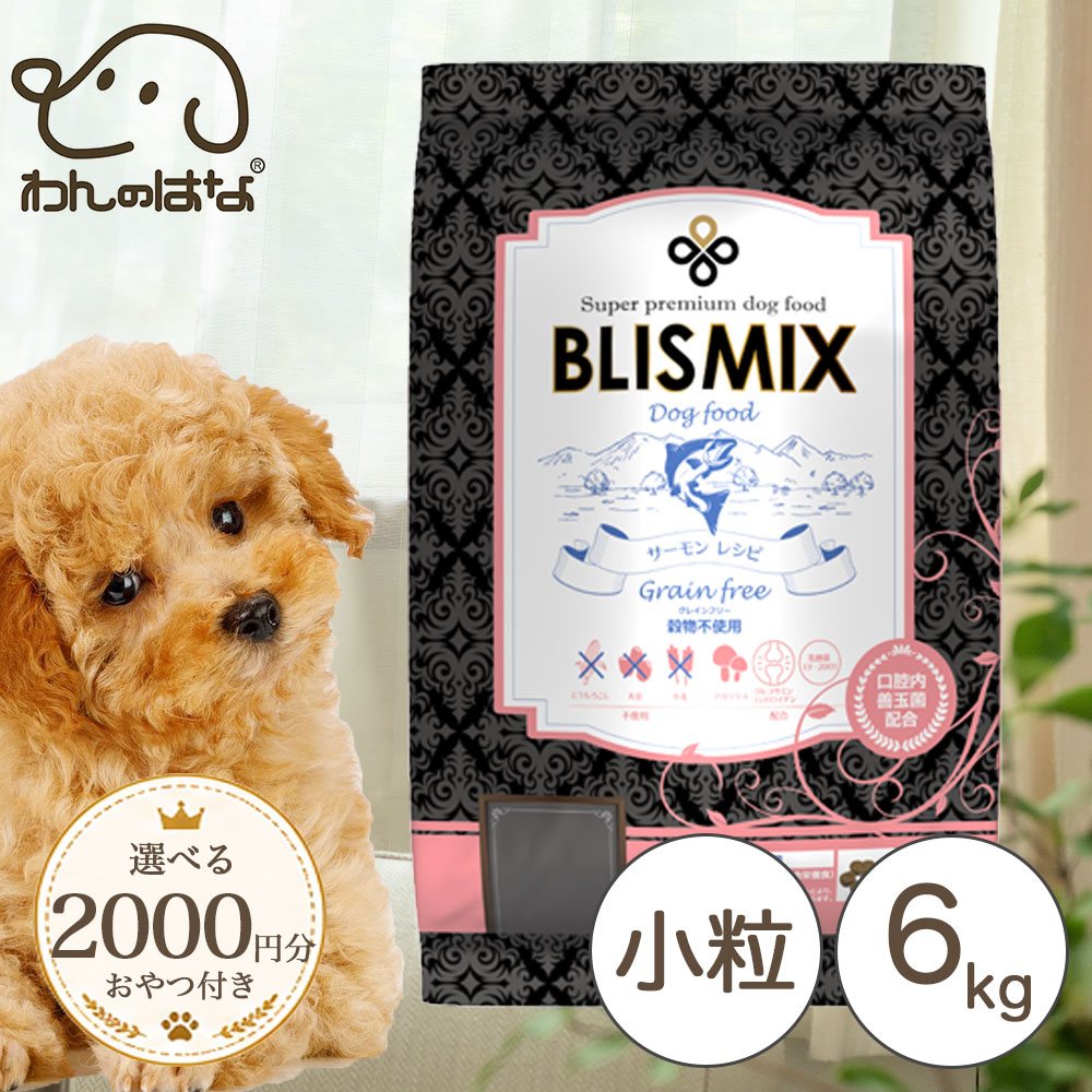 [2000円分のおまけ付！] ブリスミックス グレインフリー サーモン小粒(犬用) 6kg｜わんのはな公式店