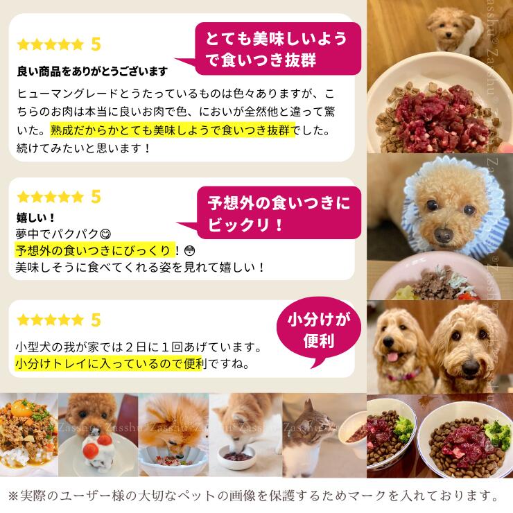 選べる 鹿肉ミンチ 着後レビューで静岡１番茶他 角切り または ペットフード 生 ドッグフード 犬 鹿肉 初回限定 ウェットフード